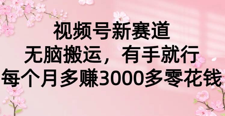 视频号新赛道，无脑搬运，有手就行，每个月多赚3000多零花钱