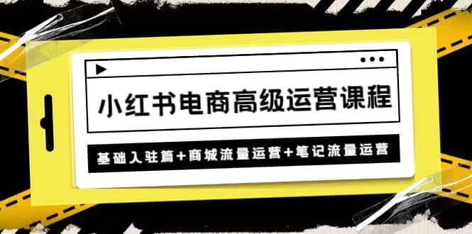 小红书电商高级运营课程：基础入驻篇+商城流量运营+笔记流量运营