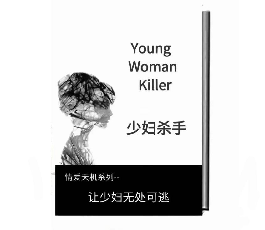 《少妇杀手速成》PDF