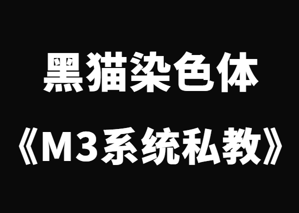 黑猫《终身制M3系统私教内部课程》