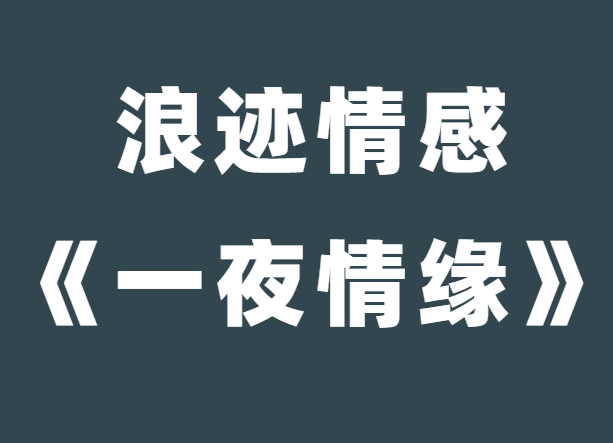 浪迹情感老佟《一夜情缘》