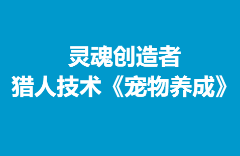 灵魂创造者 猎人技术《宠物养成》